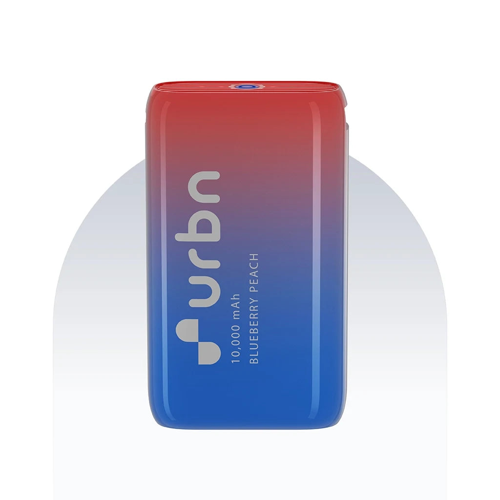 10,000 mAh Nano Blueberry Peach Power Bank