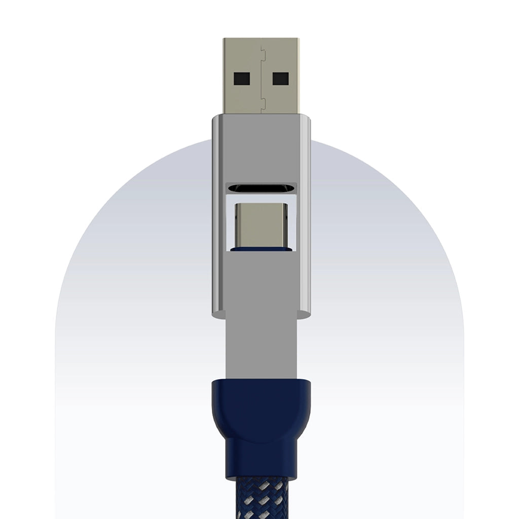 4 in 1 65W Payal Singhal Edition Cable 1 Ft