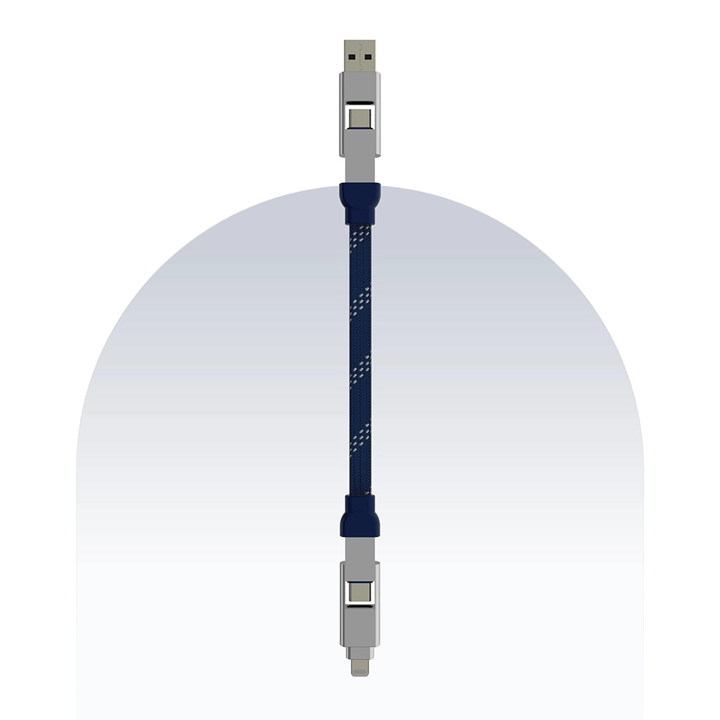 4 in 1 65W Payal Singhal Edition Cable 1 Ft