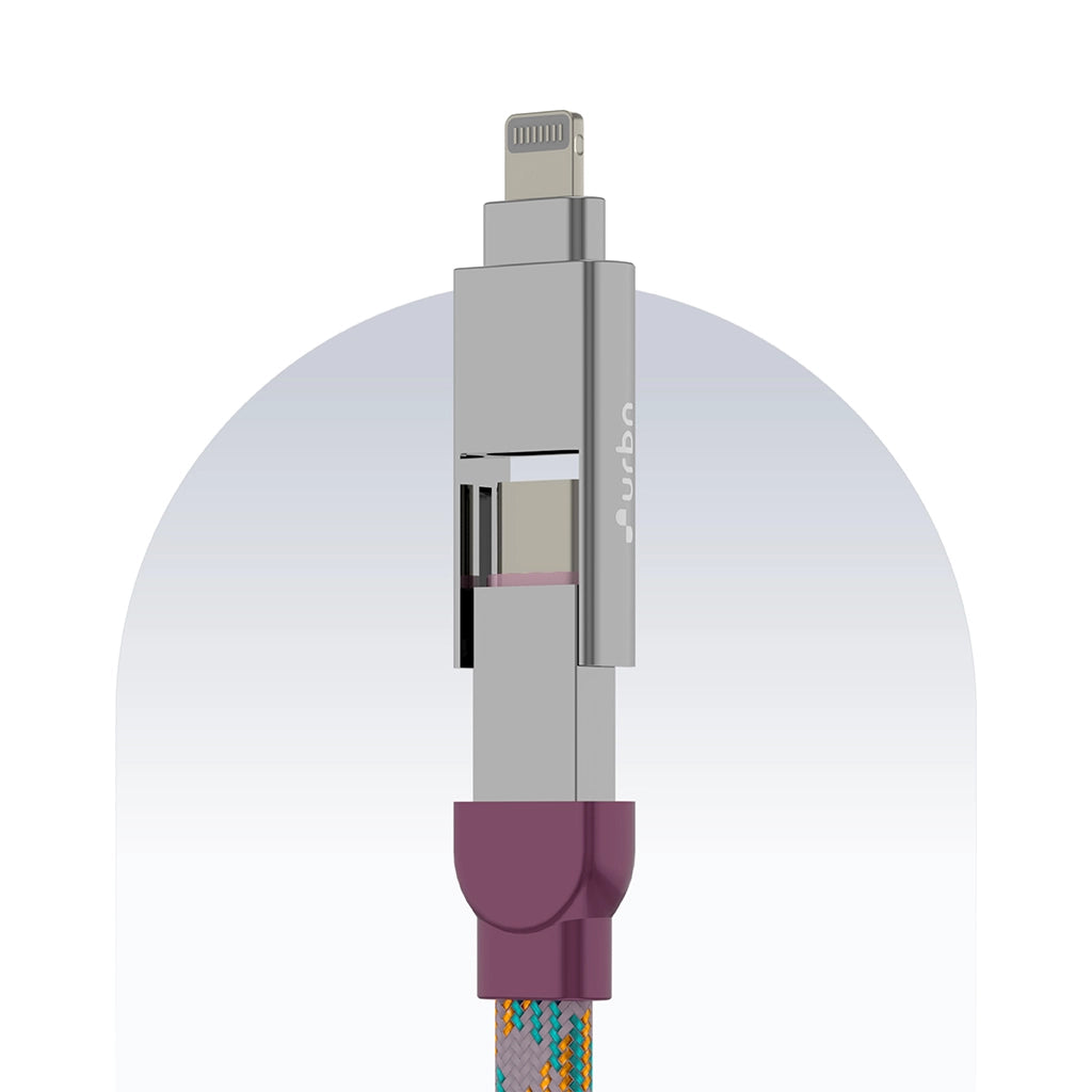 4 in 1 65W Payal Singhal Edition Cable 1 Ft