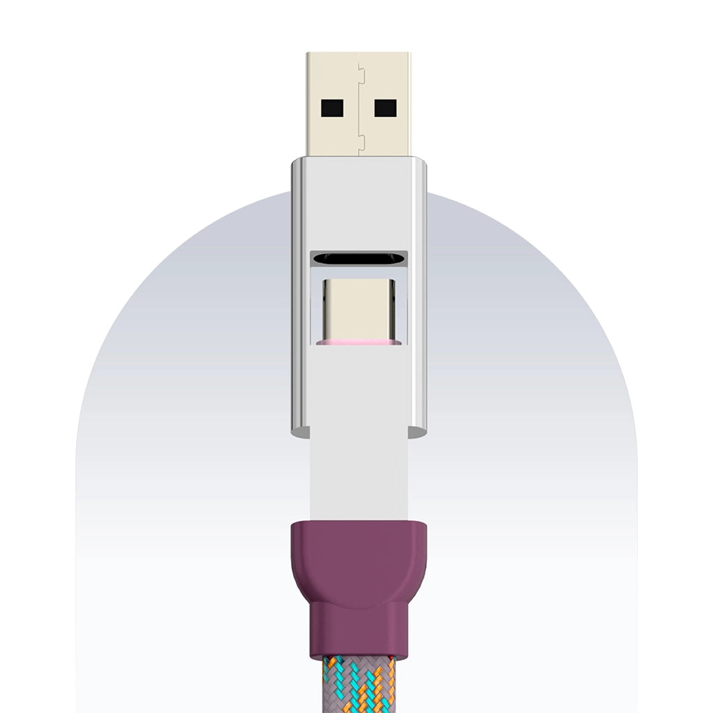 4 in 1 65W Payal Singhal Edition Cable 1 Ft