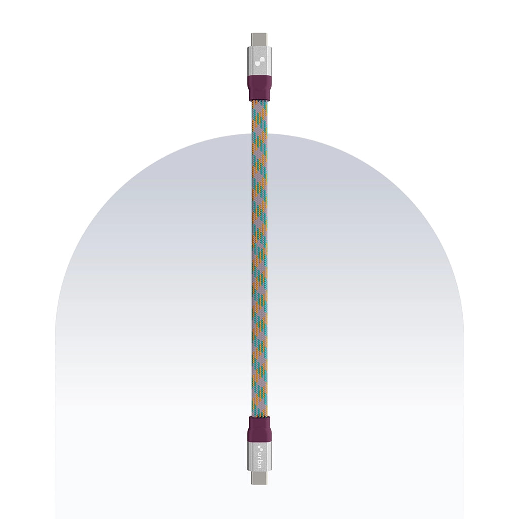 Type C to Type C 65W Payal Singhal Edition Cable